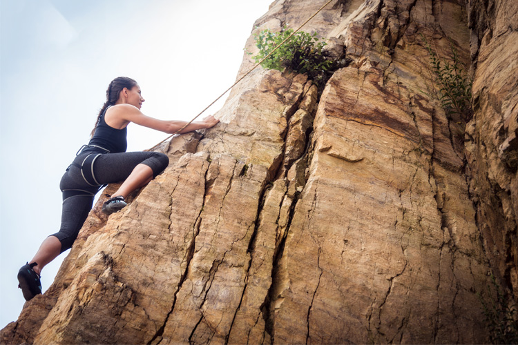 Team Building Black Mountain Adventures